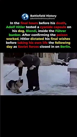 The Final Fate of Hitler's Dog, Blondi