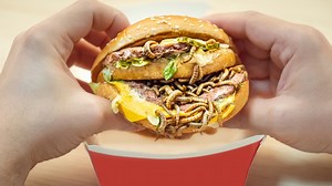 ‘Worm burgers’ latest push to ‘solve’ world hunger