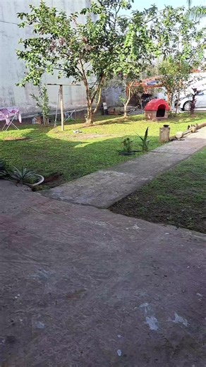 Carla Louise no TikTok