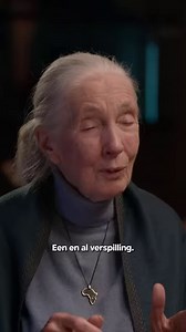 'Oh, ik slok 'm ineens door.' De VPRO bestaat deze week 95 jaar 🎉 We vroegen onze trouwe leden naar programma’s die hun een ultiem VPRO-gevoel geven. En zo'n lijst kan natuurlijk niet zonder 'Van Kooten en De Bie'. Bekijk de lijst op vpro.nl/95jaar! Welk programma ontbreekt er nog volgens jou? | VPRO