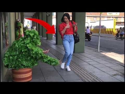 Bushman Prank Compilation Only Funniest Reactions