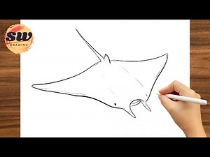 How to Draw Manta Ray