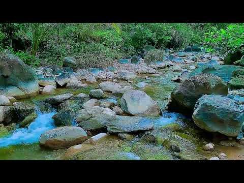 Calming Mountain Stream 🌿 Nature Water Sounds for Sleeping & Stress Relief