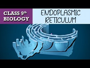 #The fundamental unit of life | Part-5 | CBSE class 9th BIOLOGY | CHAPTER-1 | NCERT CLASS 9