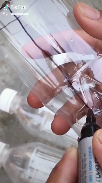 DIY Cup Planter Using Plastic Bottles