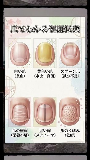 【危険】爪の形でわかる病気のサイン！あなたの爪は大丈夫？ #健康 #雑学 #爪