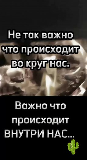 Captivating Fire Close-ups: Flames and Smoke in Action