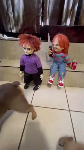 Glen and chucky dolls #viralvideo #chucky #shorts #horror #horrorstories #horrorclassic