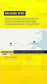 Girl, 7, dies after tree collapses at park in Southend