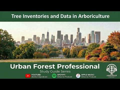 Tree Inventories & GIS: Managing Urban Forests with Big Data (Ep. 47) #TreeInventory #GIS
