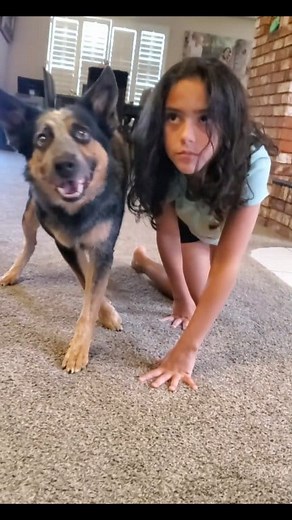 Fun! 4 dog training: Www.trainingwithomar.com Jumpyvonmuller@yahoo.com | Omar Von Muller