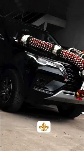 हत्ती 🐘⚜️❤️‍🔥 #fortuner #elephant