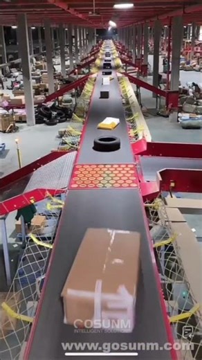 Linear Balance Wheel Sorting Machine for Logistics #Logistics #sortingsystem #ecommerce #warehouse
