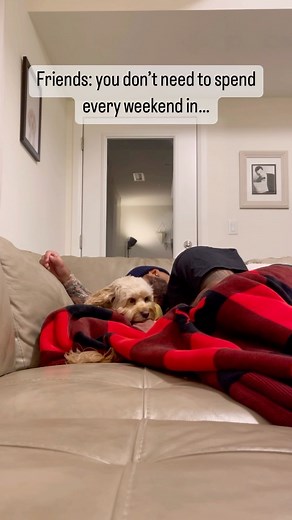 Luna The Mini Cockapoo on Instagram: "It is what it is 路‍♂️ #doglife #dogs #cockapoo"