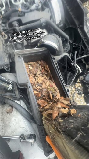 Beware of Auto Mechanics: Trustworthy Repairs Matter
