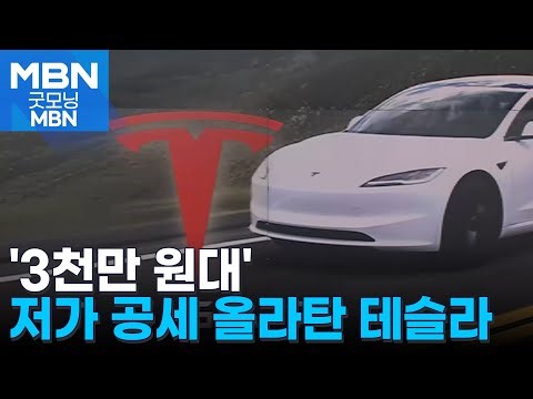 한때 럭셔리였는데…'3천만 원대' 저가 공세 올라탄 테슬라 [굿모닝 MBN]