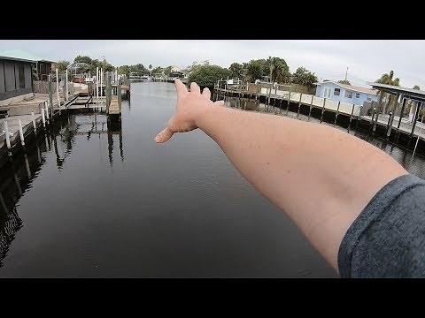 Fish steals $250 Fishing Rod & Reel - 100 Catfish Bank Fishing Challenge.