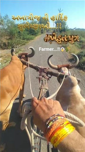 અખાત્રીજ🌾👳‍♀️ #farmerslife #farming #trending #shorts #viral #gujarati #village #kathiyawadi #yt #yt