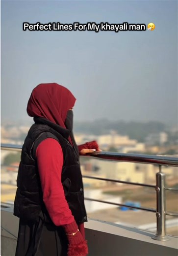 Delicious Khayali Pulao Recipe Video