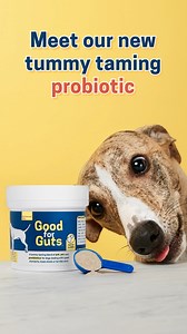 🎉 NEW 🎉 Goodness gracious, what's Good for Guts? A tummy-taming blend of pre, post and probiotic powder that acts fast to soothe upset stomachs. We believe in the power of fresh food for a dog’s overall health, but sometimes, when their tummies just aren’t quite right, we need a helping hand - say hello to Good for Guts. ⭐ Firms up loose stools ⭐ Soothes sensitive stomachs ⭐ Tames terrible wind This clever blend works for those just-in-case moments or as a daily supplement to support good bact