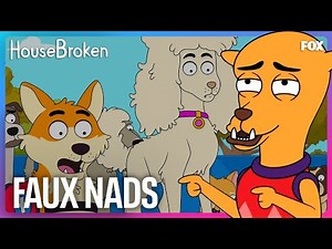 Diablo Gets Testicular Implants | HouseBroken