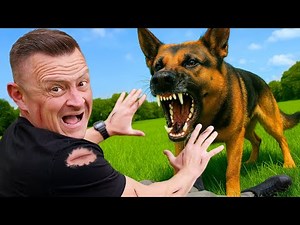 How to STOP A Dog Attack BEFORE It Happens!