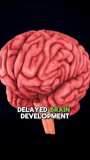 What Is Flat Head Syndrome? Let's talk about Plagiocephaly with Dr. Jess