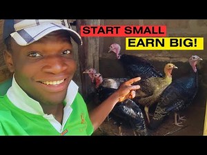 How to start a small scale turkey farm
