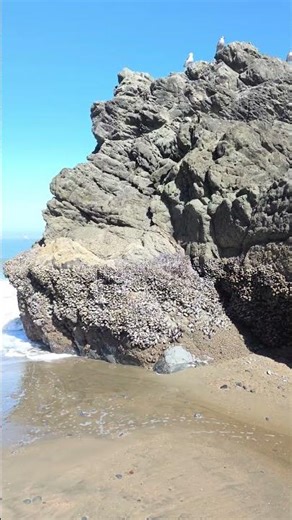 CHINA BEACH, SAN FRANCISCO, CA #travel #beach #tourism
