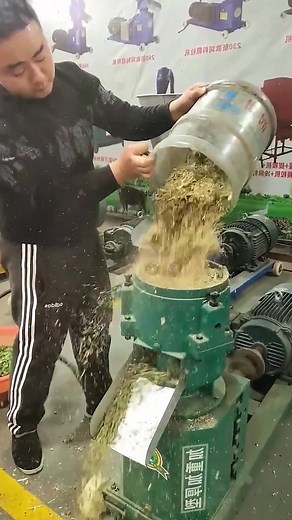 Granular production, feed pellet machine production, feed pellet machine production line#pellet #production #chicken #pelet #farm #feedplent