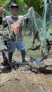 Thousands of Invasive Suckermouth Catfish Pulled From the Water and Buried in a Pit