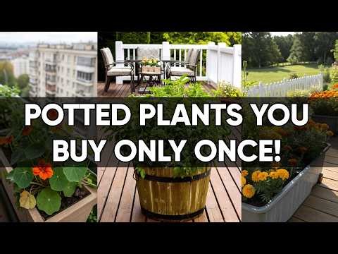 8 Container Plants That Just Won’t Die (Number 1 Is Crazy!)