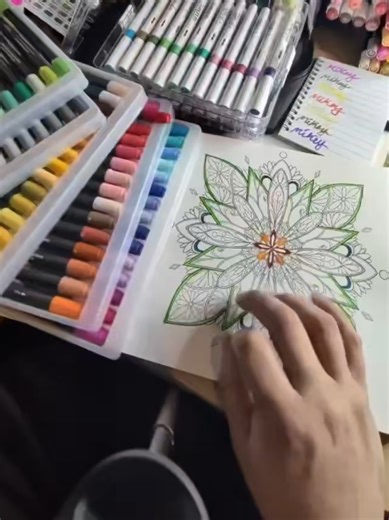 Eighty OHuhu Markers and ColorinG Book Included #coloringbook #ohuhu #ohuhumarkers #coloring #coloringforfun @Ohuhuart @𝑇𝐸𝐴𝑀𝑆𝑜𝑢𝑙🐻‍❄️ ViberZz @𝑇𝐸𝐴𝑀𝑆𝑜𝑢𝑙🐻‍❄️ ViberZz @𝑇𝐸𝐴𝑀𝑆𝑜𝑢𝑙🐻‍❄️ ViberZz