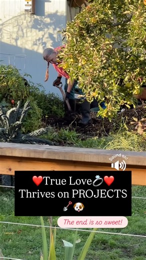 Projects pull couples closer. 💛 When you build something side by side—dinner, a garden bed, a weekend plan—you grow teamwork, trust, and a sense of “us.” You learn how each other thinks, you laugh through the mess, and you end up feeling more connected than when you started. Small project, big impact on your bond. What are you creating together next? For help in building that ❤️bond you cherish DM me PROJECT. #Marriagehelp #marriageadvice #couplescoaching #relationshiptips #relationshiphelp #re