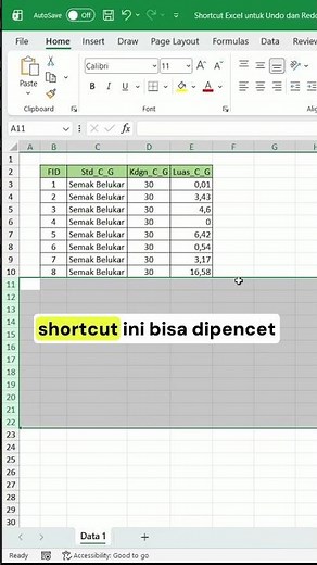 Excel Shortcuts for Undo and Redo #computertutorial #excel #exceltutorial #exceltip #excelshortcut