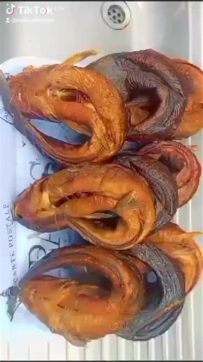 All participants report on Sunday afternoon at our first class physical fish farming training in Kabwe. | Mukasa Fish Farm