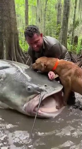 Whopping Catfish Encounter: A Heroic Rescue