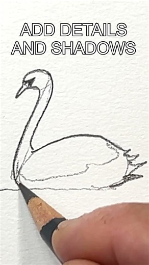 How to Draw a Swan #drawing #drawinglessons #swan