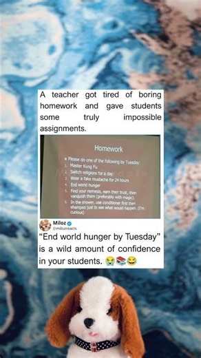Best Homework Assignment Ever