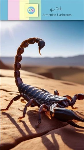 Կարիճ [ karitsch ] – Scorpion | Կ, կ [ kə ] | Armenian ABC Reading Practice