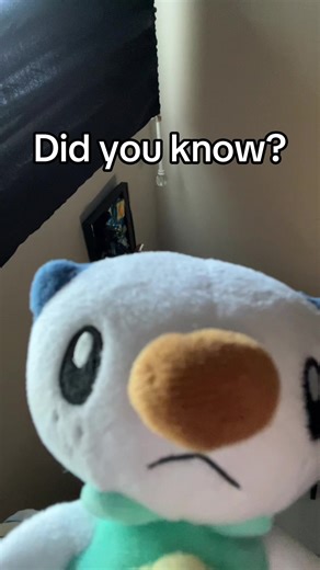 And now you know :) #pokemon #oshawott #plush #silly #funny | Pokemon Plush
