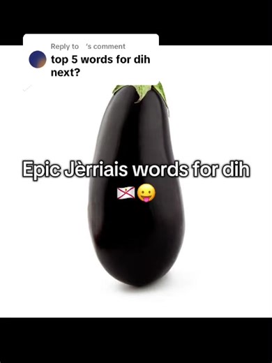 Replying to @⠀ Té v’la sheg La vergue - cane, birch, yard, dih La coue - tail, cleavers, goosegrass, dih, timothy (plant) Lé nèr - nerve, gristle (meat), dih La pène - bolt of lock, dih La ouinette - 1 in dominoes, dih #channelislands #jèrriais #jsy #funny #guernsey