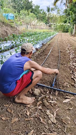 2M views · 10K reactions |  Drip Irrigation System  Set up na tayo...
