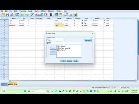 data entry and value label using SPSS
