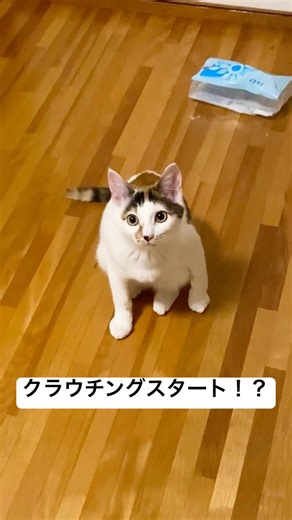 くくくくくクラウチングスタート！？
