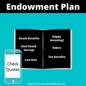 What is endowment insurance plans?