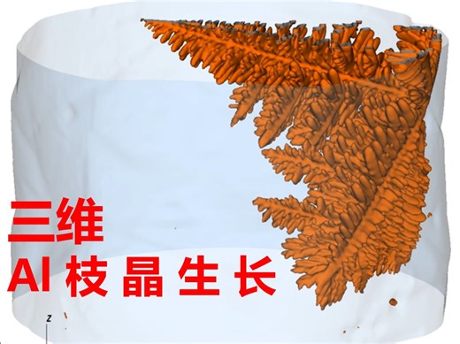 AlCu合金单个枝晶的形核生长3D