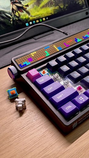 Choose Your Switch: Graywood V4 vs Nimbus V3 - Mechanical Keyboards Comparison