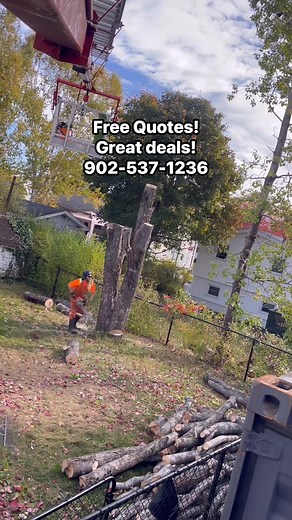 𝐀𝐭𝐭𝐞𝐧𝐭𝐢𝐨𝐧 𝐏𝐫𝐨𝐩𝐞𝐫𝐭𝐲 𝐎𝐰𝐧𝐞𝐫𝐬❗ At Red Oaks Tree Removal and Services, we know the importance of reliable tree care. With over years of experience, we’re dedicated to providing a service you can feel confident about that won’t break the bank. Why Choose Us? ✅ Fully Insured: Protecting your property and giving you peace of mind. ✅ Timely Service: We respect your schedule and can always fit you in when you need the job completed. ✅ Affordable: We are cost effective and can help w