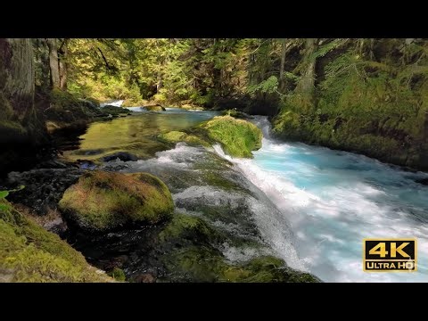 Soothing Mountain Stream Ambience for Relaxation